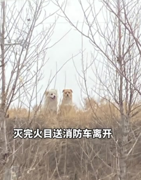 微信图片_20220401102607.png