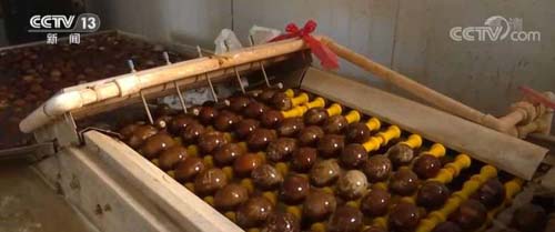 微信图片_20220427124104.jpg 微信图片_20220427124104.jpg