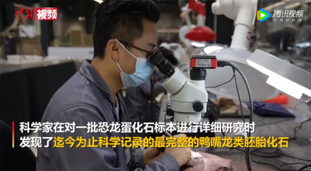 微信图片_20220512092630.png