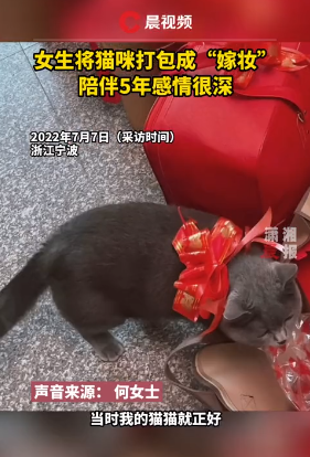 微信图片_20220708090719.png