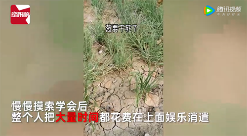 微信图片_20220814181625.png