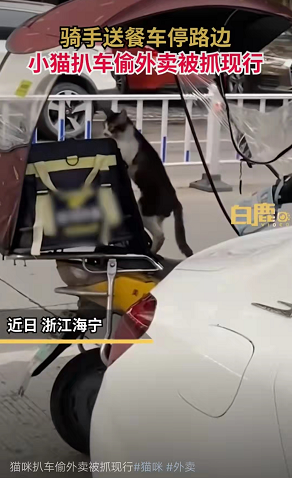 微信图片_20220815084220.png