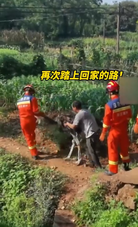 微信图片_20220817081837.png