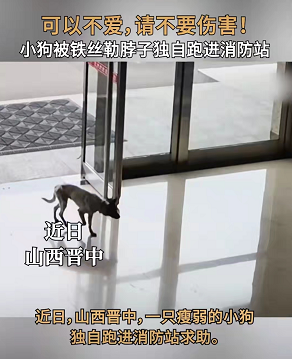 微信图片_20220823090950.png