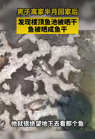 微信图片_20220826095542.png
